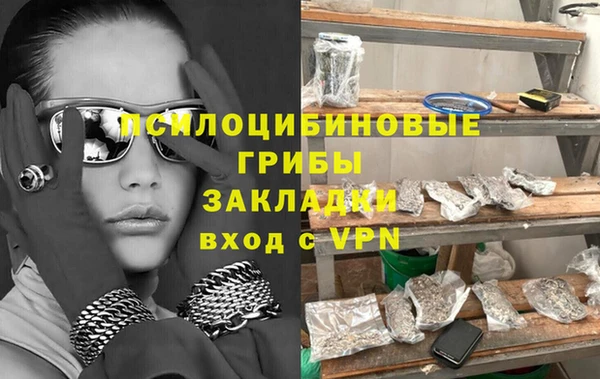 ПСИЛОЦИБИНОВЫЕ ГРИБЫ Алзамай
