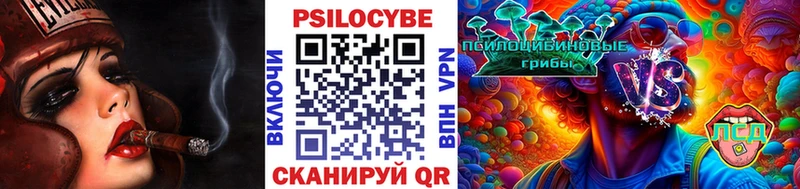 Купить  Белинский  Галлюциногенные грибы прущие грибы 